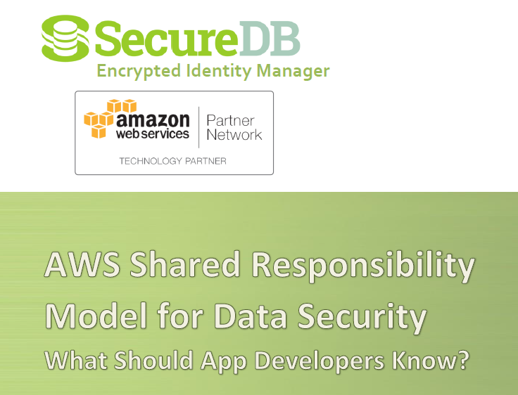 AWS Shared Responsibility Model for Data Security - Whitepaper